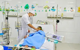 Cứu sống bé trai 8 tuổi bị ong vò vẽ đốt hơn 60 vết