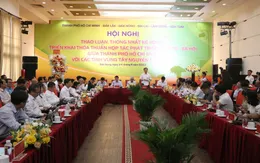 Thành phố Hồ Chí Minh và Tây Nguyên hợp tác phát triển