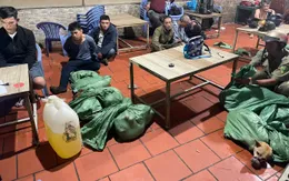 Bắt khẩn cấp nhóm 'cẩu tặc' chuyên nghiệp tại Bà Rịa - Vũng Tàu