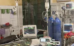 Cảnh báo ngộ độc củ ấu tàu