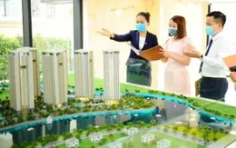 Trước ngày 8/9, báo cáo Thủ tướng Chính phủ về thành lập các sàn giao dịch việc làm, bất động sản