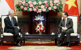 Việt Nam và Singapore đẩy mạnh hợp tác trong các lĩnh vực mới