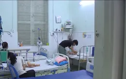 TP Hồ Chí Minh: Gia tăng bệnh nhi mắc sốt xuất huyết