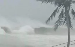 Chủ động ứng phó với bão Saola