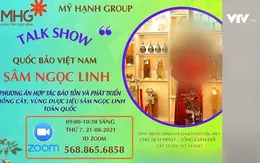 Công ty MHG sâm Ngọc Linh đưa thông tin gian dối trong huy động vốn