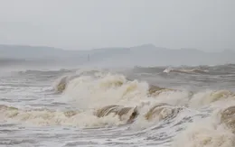 Các tỉnh, thành ven biển từ Quảng Ninh đến Quảng Ngãi chủ động ứng phó với bão số 3 (bão Saola)