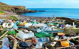 Mỗi năm, Việt Nam phát sinh khoảng 1,8 triệu tấn rác nhựa