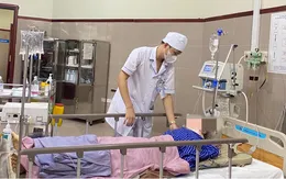 Cảnh báo gia tăng bệnh nhân nhập viện do ngã khi trèo hái hồi