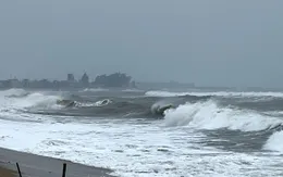 Một thuyền viên rơi xuống biển mất tích