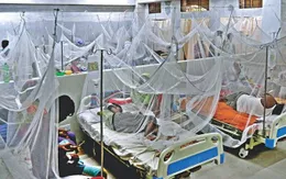 Số ca tử vong do sốt xuất huyết cao kỷ lục tại Bangladesh