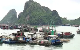 Chấn chỉnh tình trạng tàu cá vi phạm IUU