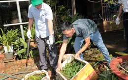 Bệnh tay chân miệng, sốt xuất huyết có dấu hiệu tăng nhẹ tại Đồng Nai