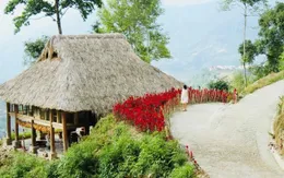 Riz d'Or Ermitage: Ốc đảo thiên nhiên hoang sơ quyến rũ của vùng đất Hoàng Su Phì