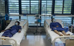 Cảnh báo tan máu do ngộ độc thực phẩm