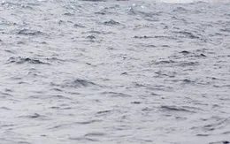 Bình Thuận: Khẩn trương hỗ trợ tìm kiếm ngư dân mất tích trên biển