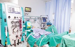 Cứu bệnh nhân sốc nhiễm khuẩn, nhiễm khuẩn huyết do áp xe gan biến chứng suy đa tạng