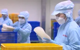 TP Hồ Chí Minh đề nghị tăng cường phòng bệnh đau mắt đỏ tại nơi làm việc