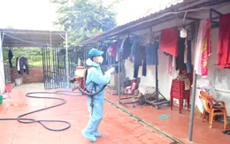 Đắk Lắk tăng cường các hoạt động phòng chống sốt xuất huyết
