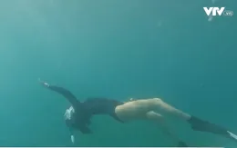 Những hướng dẫn viên dưới đáy đại dương