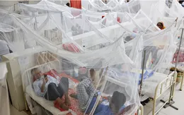 Số ca sốt xuất huyết tăng mạnh ở Bangladesh