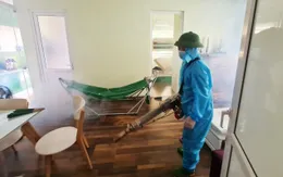 Dịch sốt xuất huyết: Cả nước ghi nhận hơn 81.000 ca mắc, 23 ca tử vong