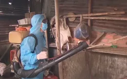 Gia Lai ghi nhận trường hợp tử vong do sốt xuất huyết