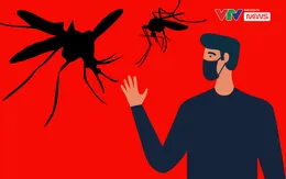 Sốt xuất huyết diễn biến phức tạp - Vì sao khó dập dịch?