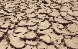 Nam Bộ có thể hứng chịu hạn hán tại nghiêm trọng trong mùa khô 2023 – 2024