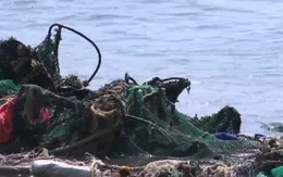 "Lưới ma" - “Sát thủ” thầm lặng trong lòng đại dương