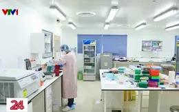 TP Hồ Chí Minh: Khoanh vùng, hướng dẫn phòng bệnh đậu mùa khỉ