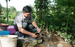 Đắk Lắk thêm một trường hợp mắc bệnh viêm não Nhật Bản