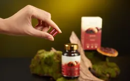 Bào tử nấm Linh Chi Phá Vách - dược liệu thượng phẩm kết hợp cùng đột phá công nghệ