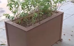 Hà Nội: Quận Ba Đình làm rõ thông tin về dự án chỉnh trang tủ điện, bồn hoa vỉa hè