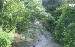 Chuyển đổi đất rừng làm dự án hồ chứa nước Ka Pét