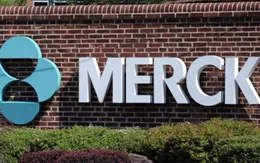 Merck & Co Inc đạt 15 tỷ USD doanh thu trong quý II/2023