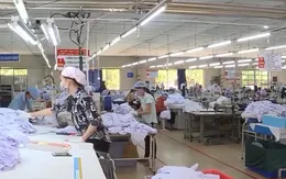 Gia tăng đơn hàng dệt may, da giày