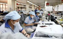 Sản phẩm công nghiệp được miễn thuế nhập khẩu vào Thụy Sỹ