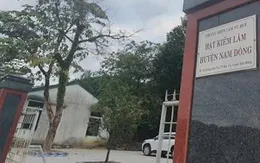 Bắt cán bộ kiểm lâm liên quan vụ vận chuyển lâm sản trái phép