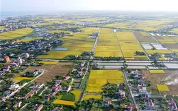 Thận trọng xem xét dự thảo Luật Đất đai (sửa đổi)