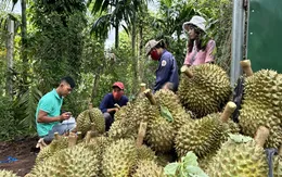 Rau quả dự báo mang về 6,5 tỷ USD xuất khẩu