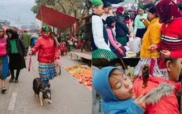 Rộn ràng thử rượu ngô, dắt lợn bản tại chợ phiên Mèo Vạc, Hà Giang