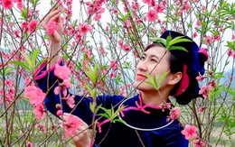 Lạng Sơn: Nhiều hoạt động trong Lễ hội Hoa đào xứ Lạng thu hút du khách