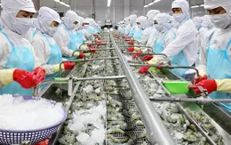 Ngành tôm hướng tới mục tiêu 4 tỷ USD
