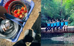 Trải nghiệm cứu hộ động vật hoang dã để thêm yêu đời, yêu muôn loài xung quanh