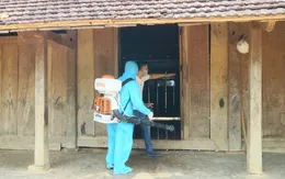 Bộ Y tế: Các địa phương cần chủ động phòng chống dịch bệnh để bảo đảm đón Tết an toàn