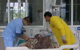 Phát hiện 5 trẻ mắc viêm não virus
