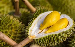 Ớt chuông, mì ăn liền, sầu riêng, đậu bắp, thanh long bị EU đưa vào diện kiểm soát