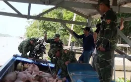 Xử nghiêm hành vi buôn lậu, vận chuyển trái phép động vật qua biên giới
