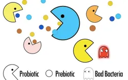Vai trò của probiotics và prebiotics với sức khỏe phụ nữ