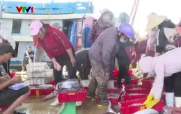 Ngư dân tất bật những phiên biển cận Tết